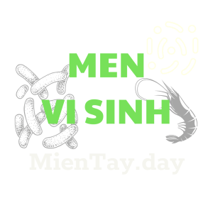 Men Vi Sinh