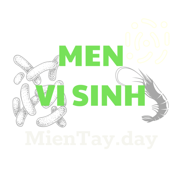 Men Vi Sinh