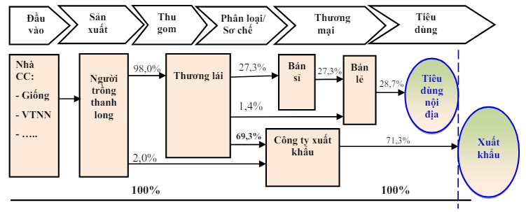 Chuổi giá trị Thanh Long - Tiền Giang 2013