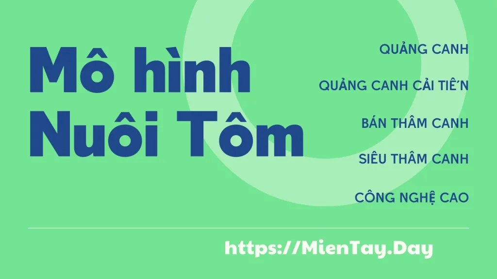 Mô hình nuôi tôm từ lý thuyết đến thực tế