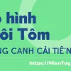 Mô hình nuôi tôm Quảng canh, Mô hình nuôi tôm quảng canh cải tiến